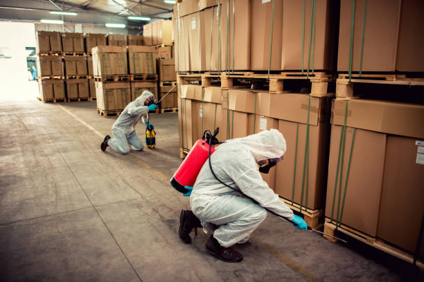 Best Termite Control Services  in Monroe Manor, NJ