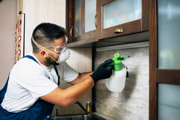 Best Rat Extermination Near Me  in Monroe Manor, NJ