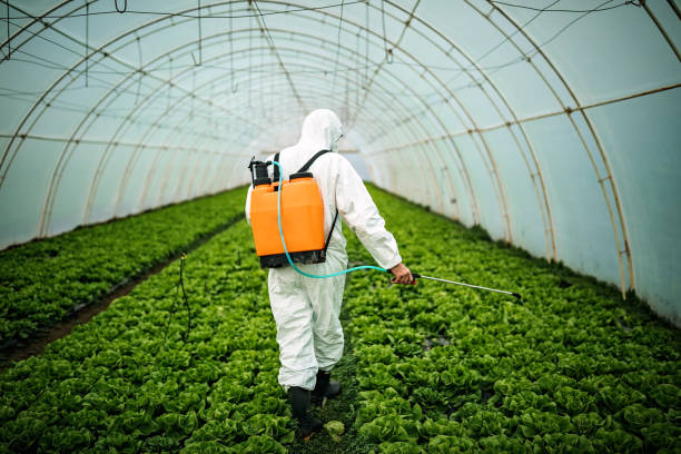 Best Affordable Pest Control Services  in Monroe Manor, NJ