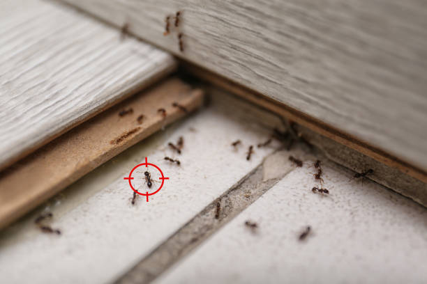 Best Wildlife Control Services  in Monroe Manor, NJ