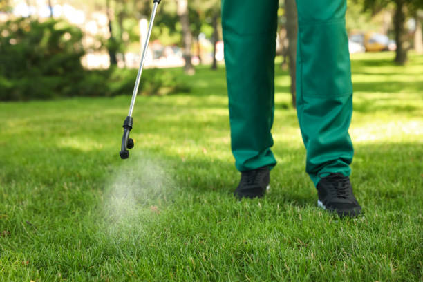 Best Flea Control Services  in Monroe Manor, NJ