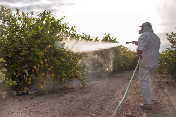 Best Best Pest Control Companies  in Monroe Manor, NJ