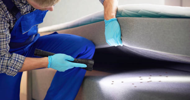 Best Best Pest Control Companies  in Monroe Manor, NJ