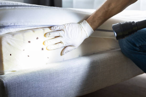 Best Pest Control Near Me  in Monroe Manor, NJ