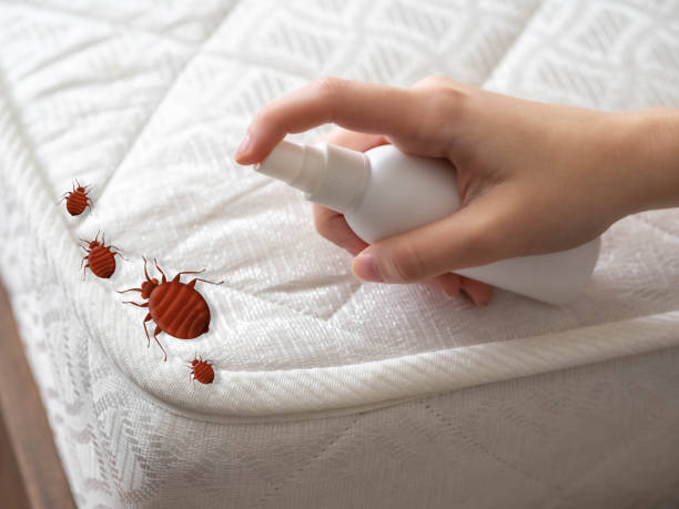 Best Mosquito Control Services  in Monroe Manor, NJ
