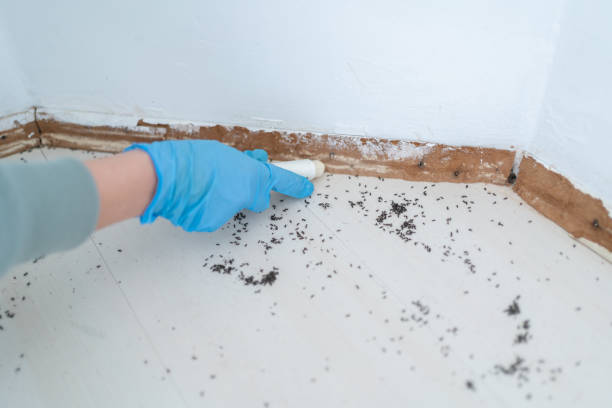 Best Emergency Pest Control  in Monroe Manor, NJ