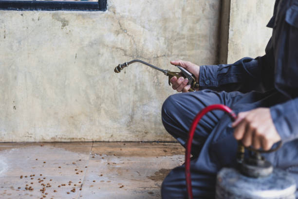Best Wasp Removal Services  in Monroe Manor, NJ